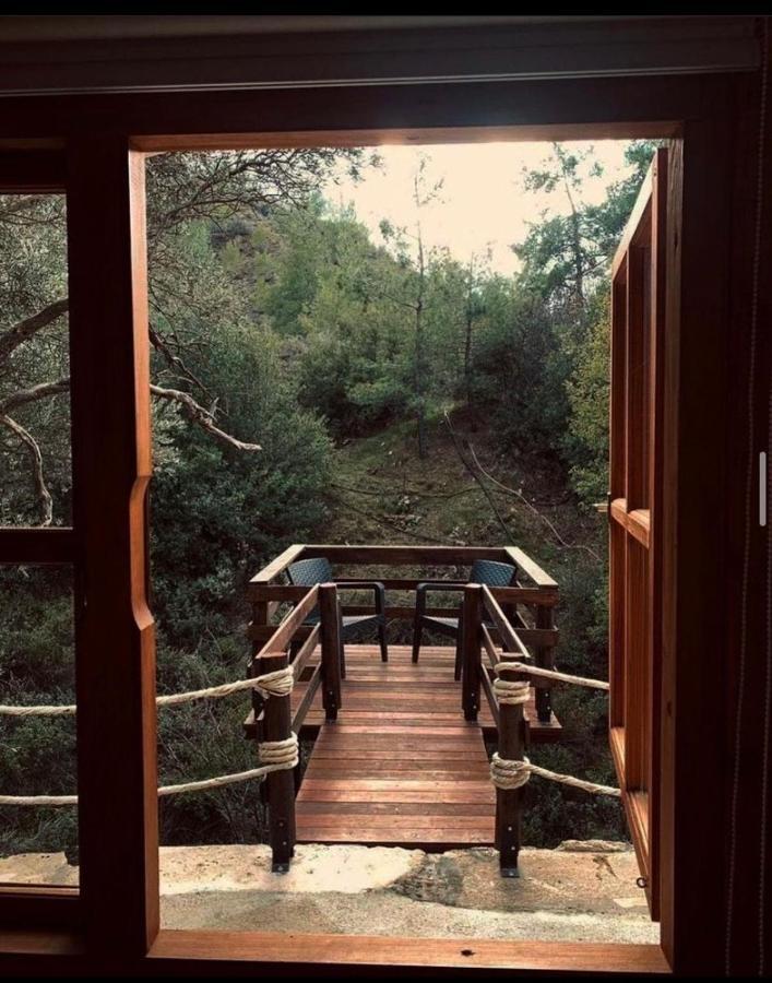 Bosco Paradiso Limassol Zewnętrze zdjęcie