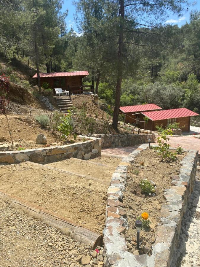 Bosco Paradiso Limassol Zewnętrze zdjęcie